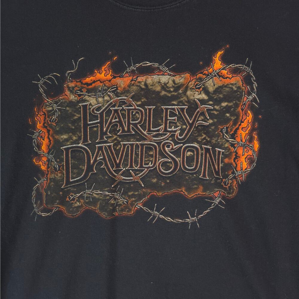 Harley Davidson Motorcycles T-Shirt Mens‎ L Black Cotton Orange Virginia USA